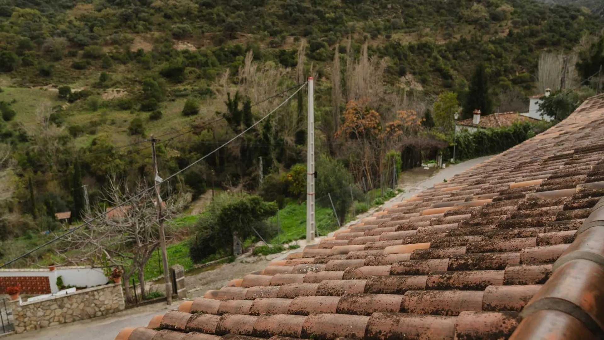 Aptm Dayma Sierra junto al río Majaceite. Benamahoma 0*,