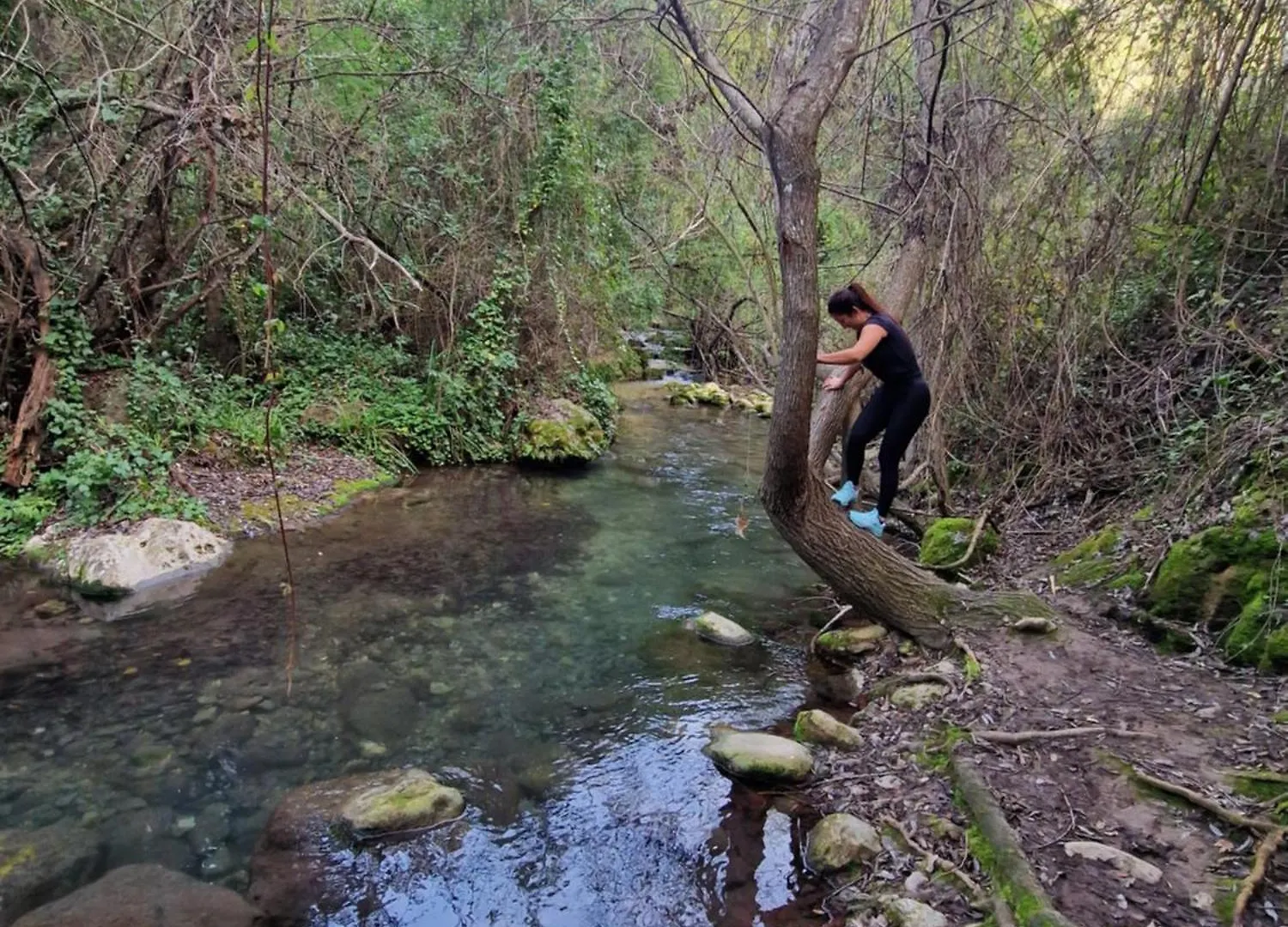 Aptm Dayma Sierra junto al río Majaceite. Benamahoma Apartamento